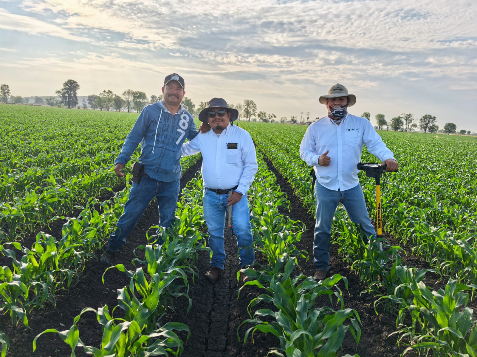 Asesor técnico en campo